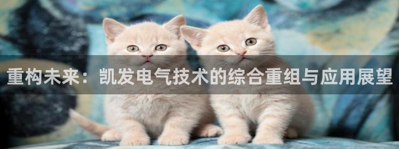 天天购彩官网