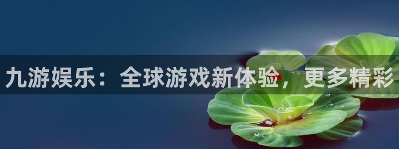 天天购彩app下载
