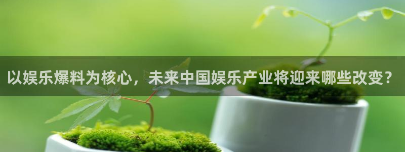 天天彩网