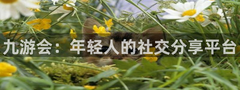 天天市场app下载