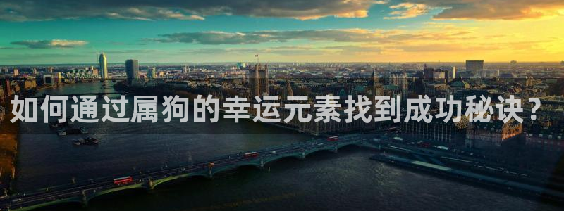 天天市场app下载