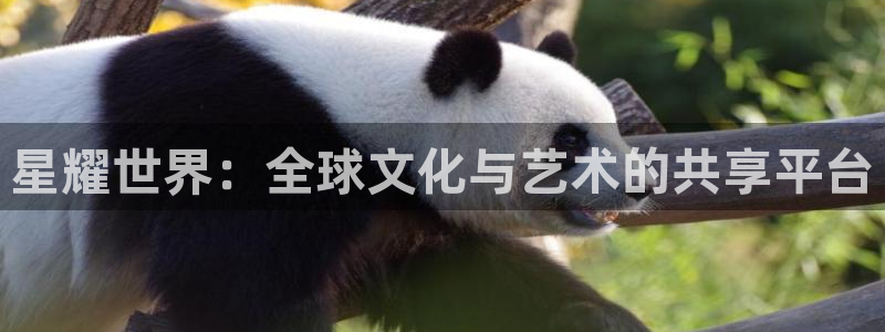 天天彩官网