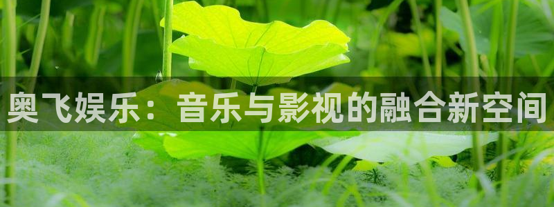 天天中彩app最新版