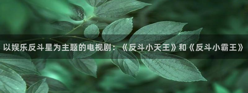 天天彩网