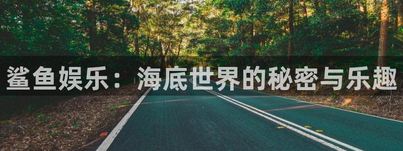 天天welcome购彩