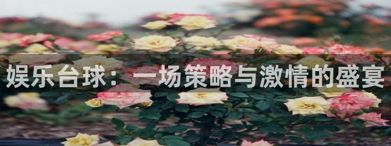 天天彩app下载