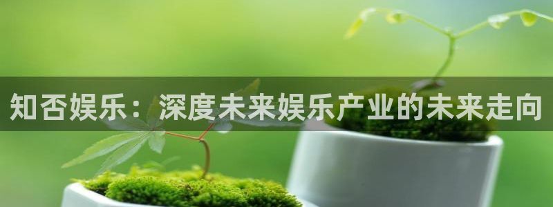 天天走势app下载官网最新版本