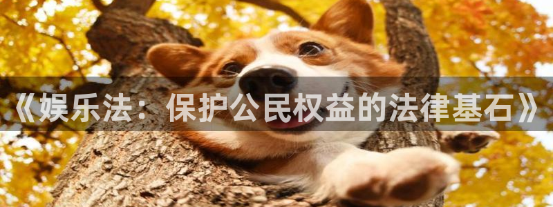天天看app
