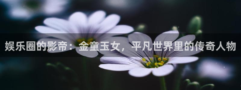 天天购彩welcome：娱乐圈的影帝：金童玉女，平凡世界里的传奇人物
