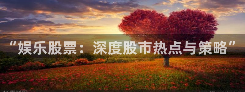 天天彩网：“娱乐股票：深度股市热点与策略”
