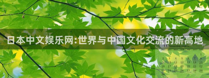 天天welcome购彩：日本中文娱乐网:世界与中国文化交流的新高地