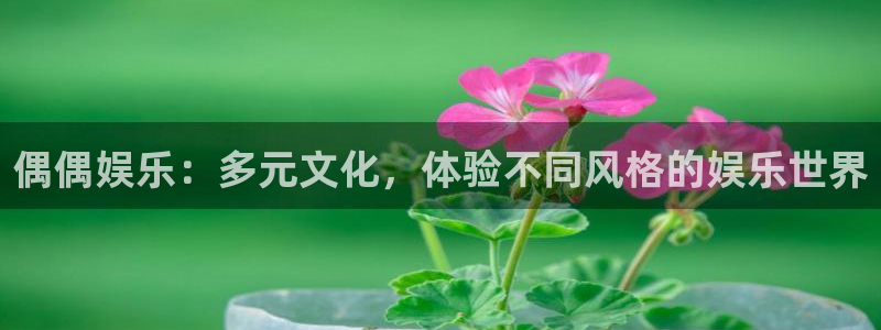 app天天好彩：偶偶娱乐：多元文化，体验不同风格的娱乐世界