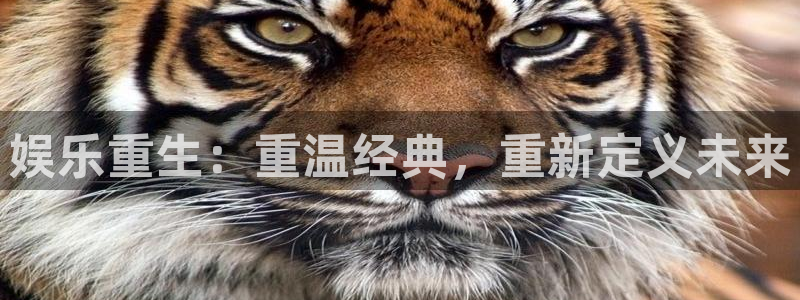 天天中奖安卓版app下载：娱乐重生：重温经典，重新定义未来