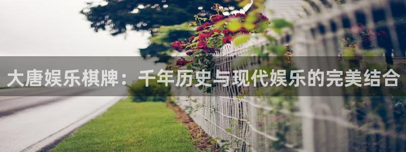 天天乐app下载：大唐娱乐棋牌：千年历史与现代娱乐的完美结合