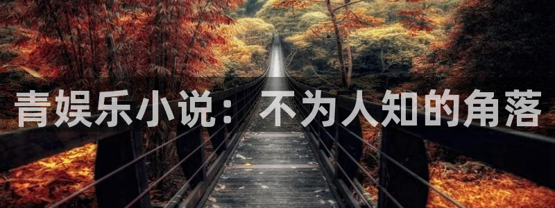 天天乐app下载：青娱乐小说：不为人知的角落