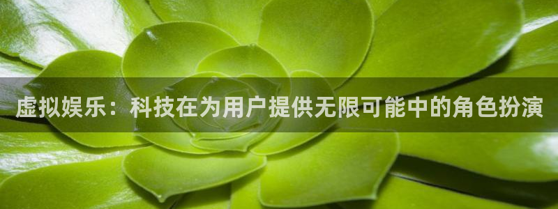 天天中彩app下载：虚拟娱乐：科技在为用户提供无限可能中的角色扮演