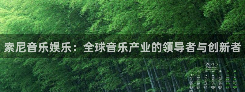天天乐彩官网首页：索尼音乐娱乐：全球音乐产业的领导者与创新者