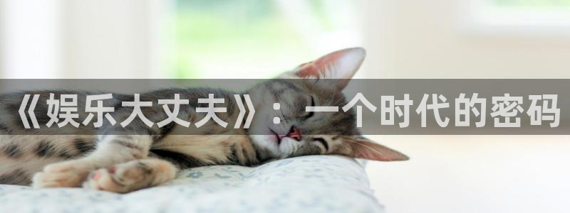 天天welcome大厅购彩：《娱乐大丈夫》：一个时代的密码