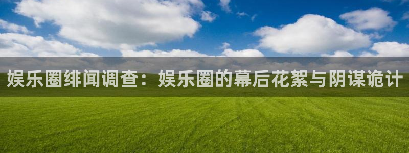 天天市场app下载：娱乐圈绯闻调查：娱乐圈的幕后花絮与阴谋诡计
