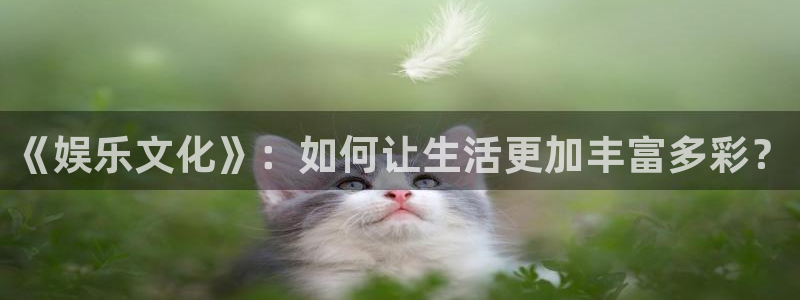 天天日app下载：《娱乐文化》：如何让生活更加丰富多彩？