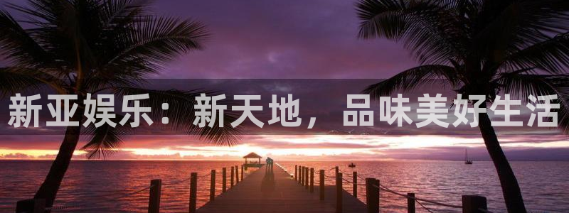 天天商城app：新亚娱乐：新天地，品味美好生活