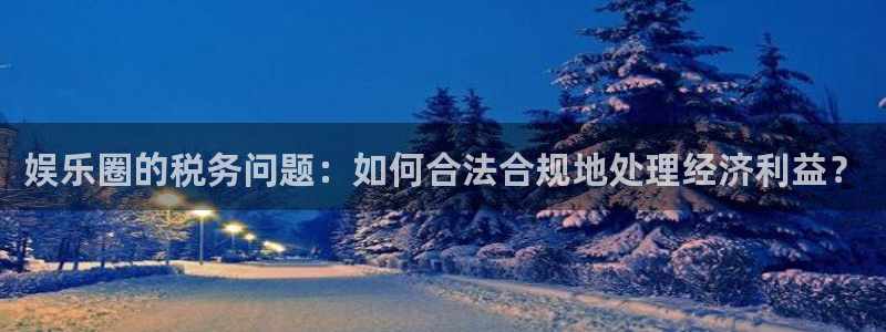 天天app：娱乐圈的税务问题：如何合法合规地处理经济利益？