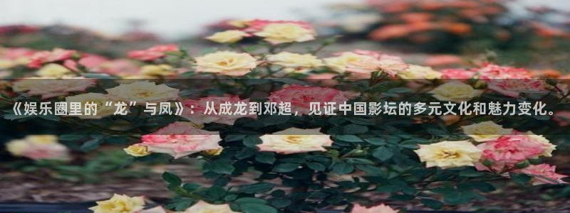 天天日app下载：《娱乐圈里的“龙”与凤》：从成龙到邓超，见证中国影坛的多元文化和魅力变化。