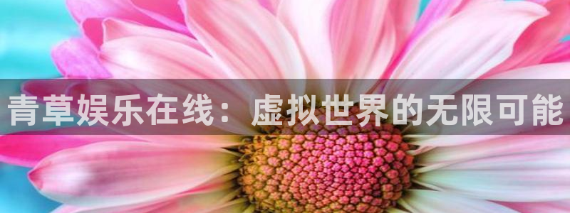 天天富app下载：青草娱乐在线：虚拟世界的无限可能